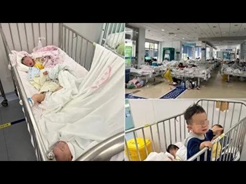 上海幼儿隔离视频引怒骂 欧盟致函上海政府提6请求
