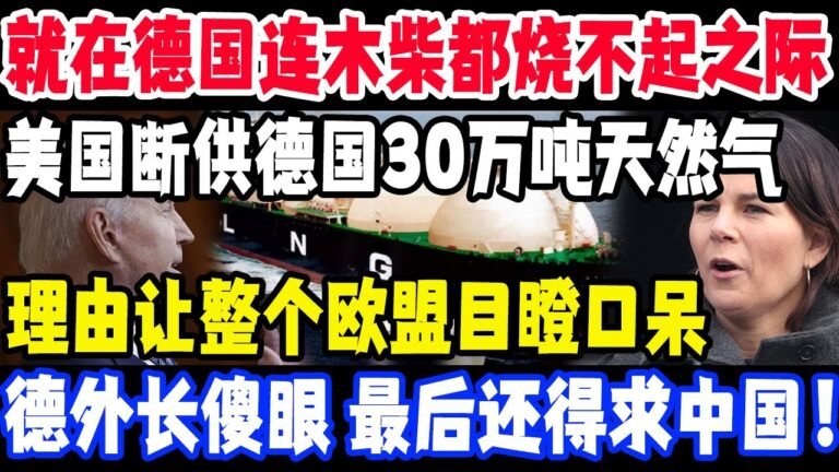 就在德国连木柴都烧不起之际，美国断掉德国30万吨天然气出口，理由让整个欧盟目瞪口呆，德外长傻眼，最后还得求中国！