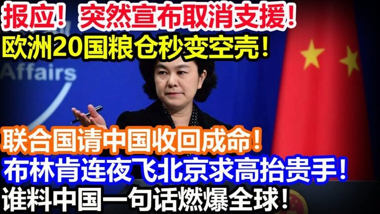 报应！突然宣布取消支援！欧洲20国粮仓秒变空壳！联合国请中国收回成命！布林肯连夜飞北京求高抬贵手！谁料中国一句话燃爆全球！