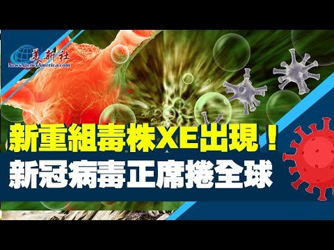 新重組毒株XE出現！新冠病毒席捲全球。