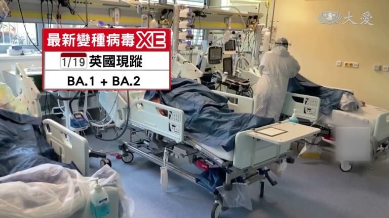 變異株XE現身 Omicron家族新成員