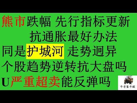 394 熊市调整跌幅 QQQ MSFT 先行指标更新 抗通胀最好办法 同是护城河4个股走势迥异 个股趋势逆转抗大盘吗 U严重超卖能反弹吗