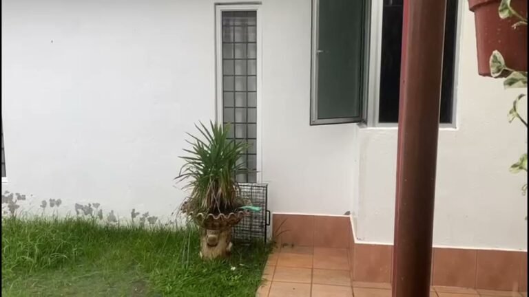 S2绿街社区4独立式民宅 长年逢雨成灾 活像集水区