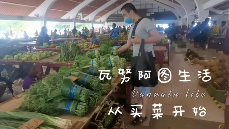 瓦努阿图生活 从买菜开始