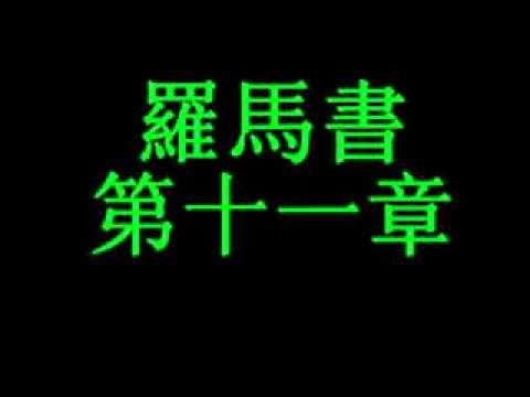 45 011羅馬書第十一章