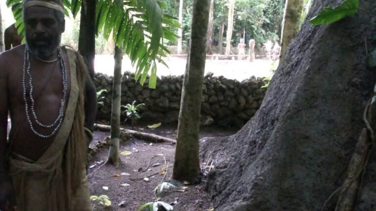 Vanuatu Esum multi cultural village 瓦努阿圖原住民文化村 – Treetop