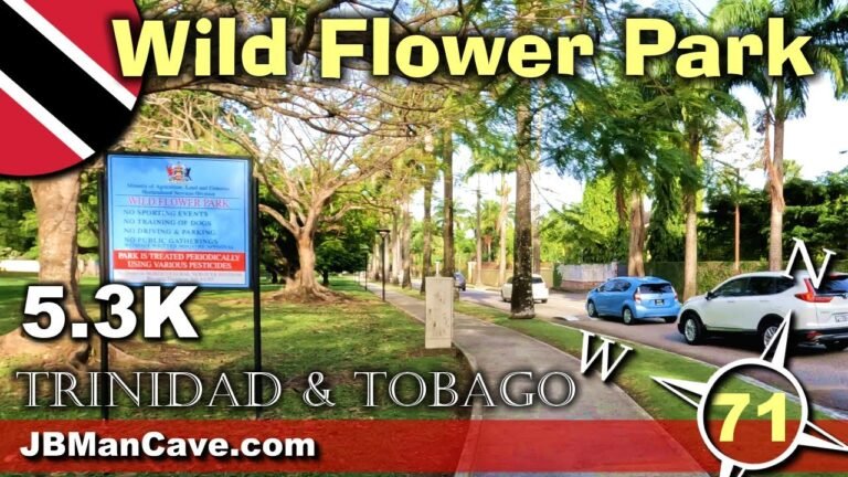 WILD FLOWER PARK Walk Through Port of Spain in TRINIDAD and Tobago Caribbean in 5.3K JBManCave.com