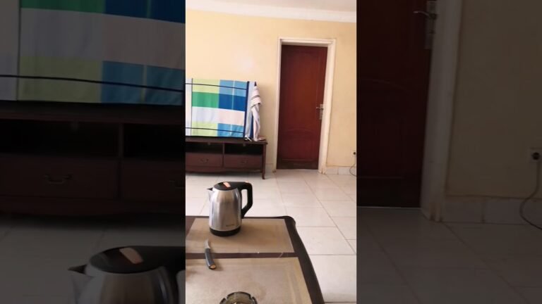 刚果金驻地boss客厅