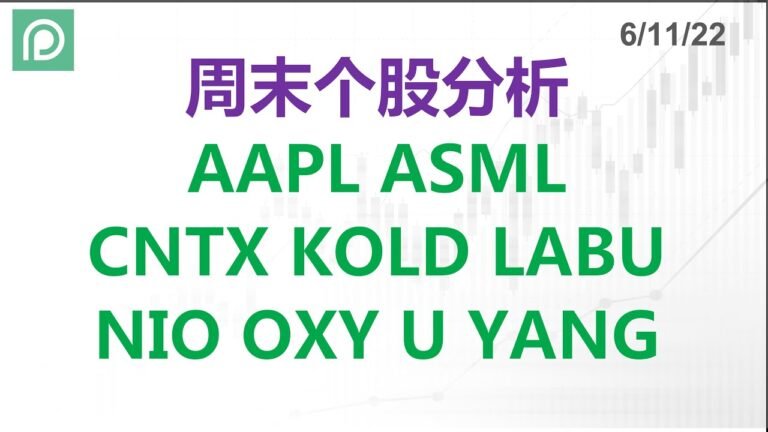 美股分析 AAPL ASML CNTX KOLD LABU NIO OXY U YANG 周末个股分析