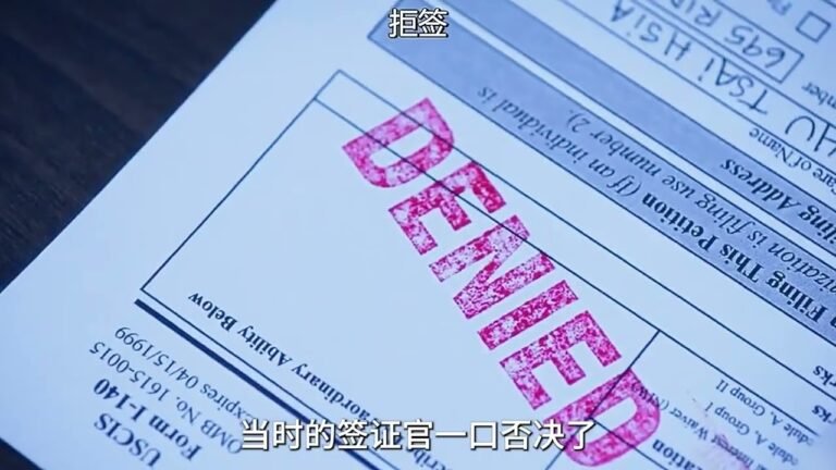 华人为了拿到美国签证的辛酸史 # 美剧推荐 # 初来乍…