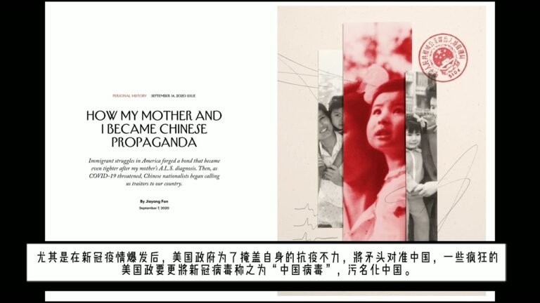 #樊嘉扬 #JiaYangFan 两面人樊嘉扬的下场如何？