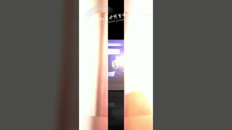 汉德欧2021部分欧盟护照案例鉴赏