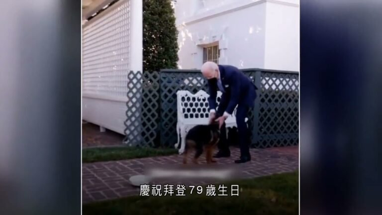 白宮增添幼德國牧羊犬「第一狗」 – 20211221 – 兩岸國際 – 有線新聞 CABLE News