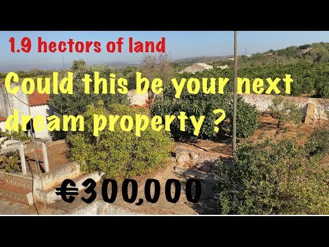 🇵🇹 €300,000 1.9 hectares in the Algarve but we will tell you the issues it has 🇵🇹