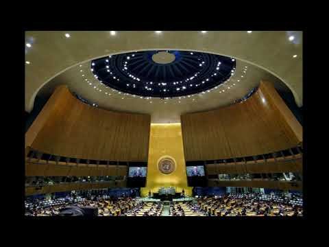 【猪猪图话】俄罗斯向美国递交了56份签证申请，以允许拉夫罗夫及其代表团赴纽约参加联合国大会，但迄今为止没有收到签证