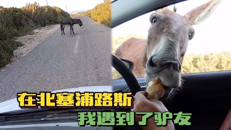 《环球探岛记》北塞浦路斯~第9天：别人旅行遇到的驴友VS我旅行遇到的驴友！