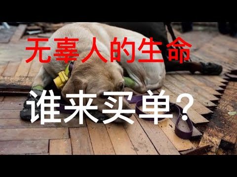 戰爭有各種冠冕堂皇的理由，無辜人的命誰來買單？生命只有一個次 是上帝給的 誰也沒有權利都在無辜人的生命 無論任何理由 2 2