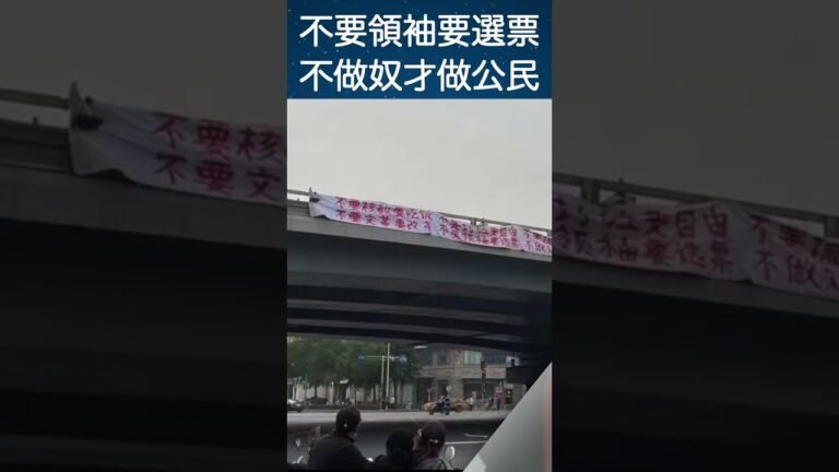 突發！反習標語出現今日北京海澱四通橋  橫幅上寫著：「不要核酸要吃飯，不要封控要自由，不要謊言要尊嚴，不要文革要改革，不要領袖要選票，不做奴才做公民」