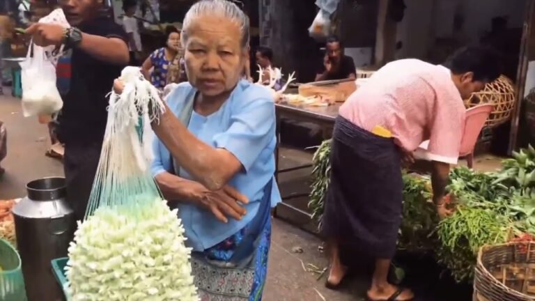 缅甸乱局之源: 6 种身份证 7 等公民