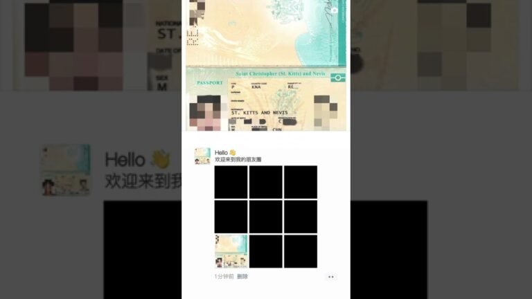 英联邦圣基茨护照 10.8万美元 全包