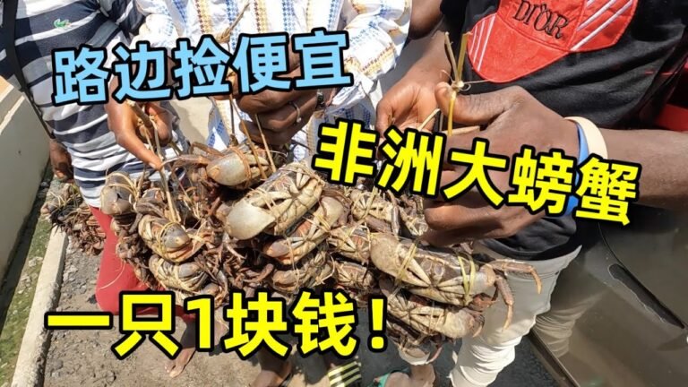 非洲路边发现大螃蟹，一只才卖1块钱！直接买一桶回家做香辣蟹