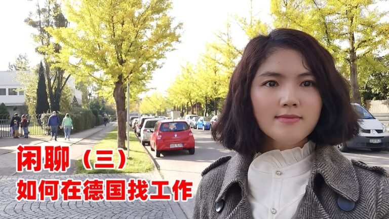 3德国计算机专业紧缺容易获得蓝卡签证，聊聊一位在德朋友的经历