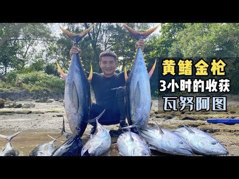 《瓦努阿图》第6集：钓到一条20斤的黄鳍金枪，但被一条160斤的鲨鱼截获！#旅行 #旅行攻略 #环球旅行 #瓦努阿图 #海钓