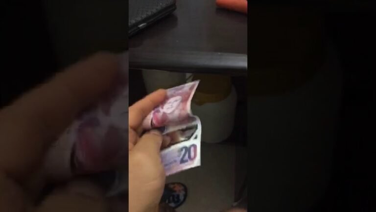 加勒比地区圣基茨与尼维斯的20元