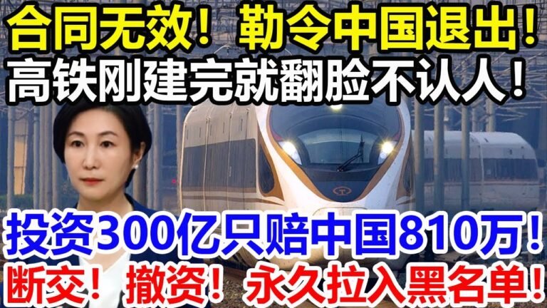 合同无效！勒令中国退出！高铁刚建完就翻脸不认人！投资300亿只赔中国810万！外交部宣布最严厉制裁！断交！撤资！永久拉入黑名单！【#环球时局】