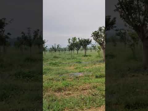 塞浦路斯移民文件泄露，中国移民人员暴露危险之中(2020.0826.04)