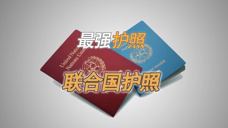 最牛护照 联合国护照 国内只有3个人拥有