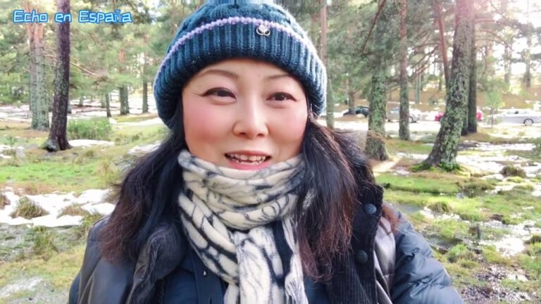 146｜【西班牙非盈利移民】悲催😥的一天，小灰机✈️弃我们而去，奔向了自由世界😭；周末雪山封闭，雪也融化，饱餐一顿慰籍受伤的心灵😢😢｜2020/12/12【欧洲移民】