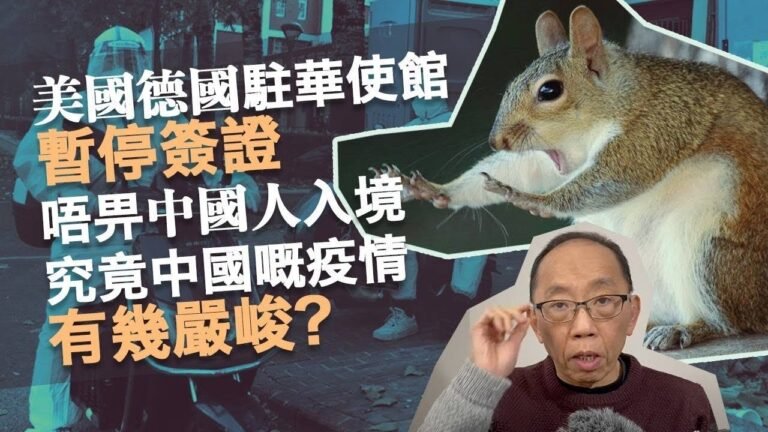 20221218美國德國駐華使館暫停簽證，唔畀中國人入境。究竟中國嘅疫情有幾嚴峻？
