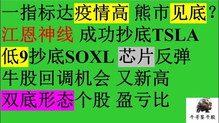 528 一指标达疫情高 熊市见底？江恩神线 成功抄底TSLA TSLL TSLQ AAPL 低9抄底SOXL 芯片反弹 SOXS NVDA 牛股回调机会又新高 双底形态个股盈亏比 TNDM 22%浮盈