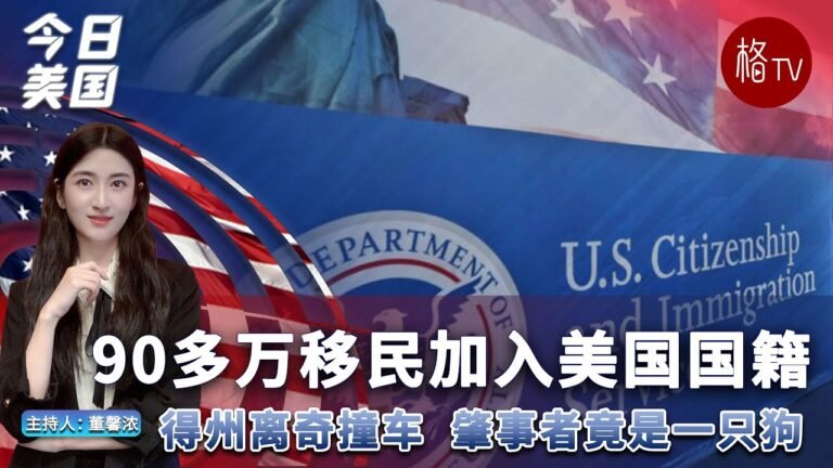 90多万移民加入美国国籍；得州离奇撞车事故  肇事者竟是一只狗【今日美国】120222