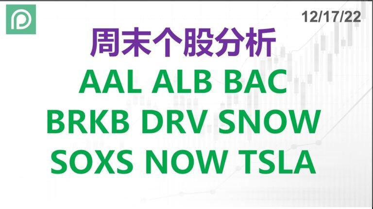 美股分析 AAL ALB BAC BRKB DRV SNOW SOXS NOW TSLA 周末个股分析