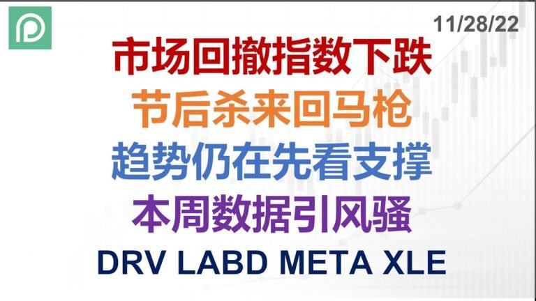 美股分析 DRV LABD META XLE 市场回撤指数下跌 节后杀来回马枪 趋势仍在先看支撑 本周数据引风骚