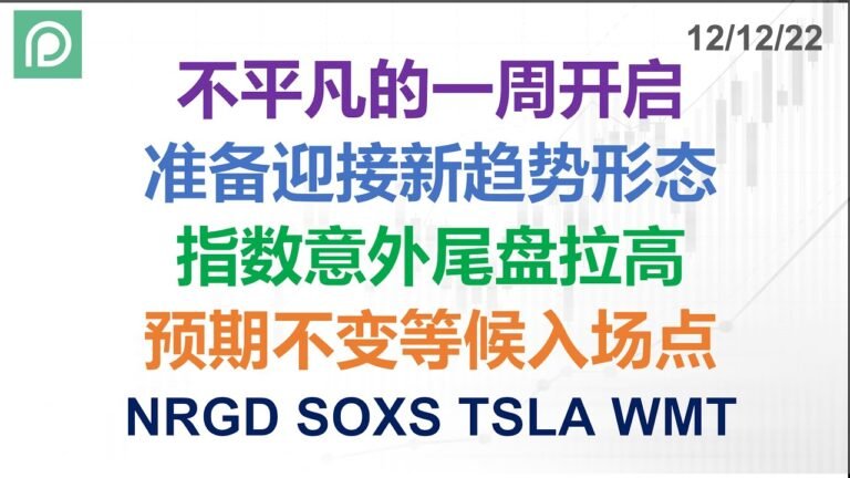 美股分析 NRGD SOXS TSLA WMT 不平凡的一周开启 准备迎接新趋势形态 指数意外尾盘拉高 预期不变等候入场点